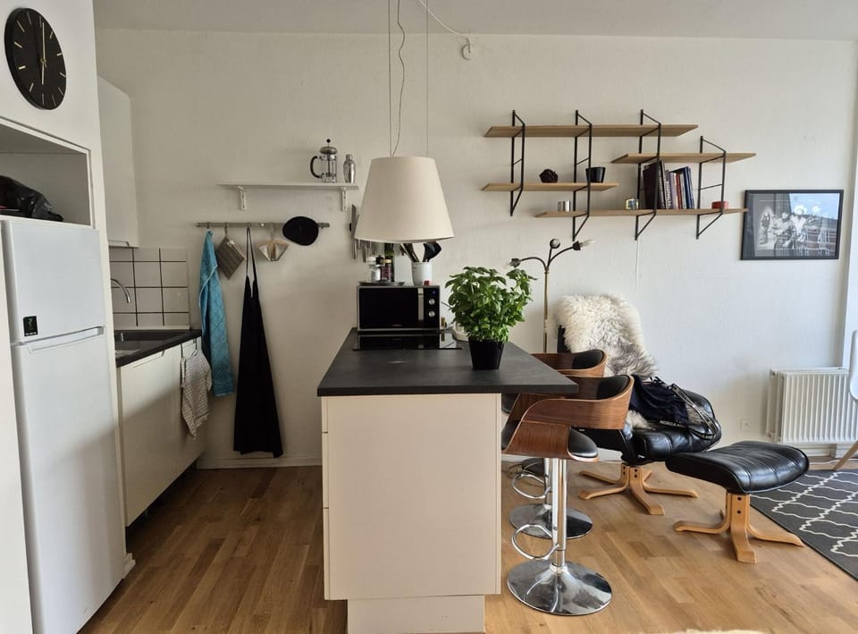 ApartmentInCopenhagen Apartment 1697 Apartment in Frederiksberg