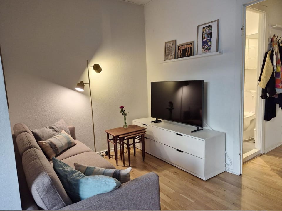 ApartmentInCopenhagen Apartment 1697 Apartment in Frederiksberg