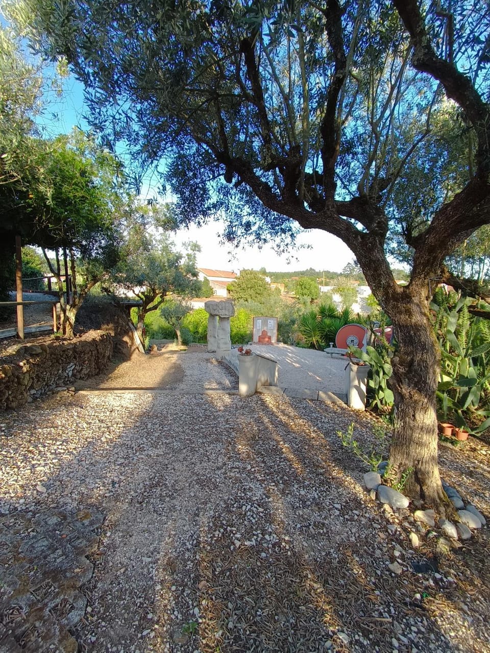 Garden view