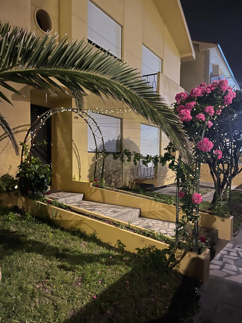 Property building, Night, Garden, Garden, Garden view