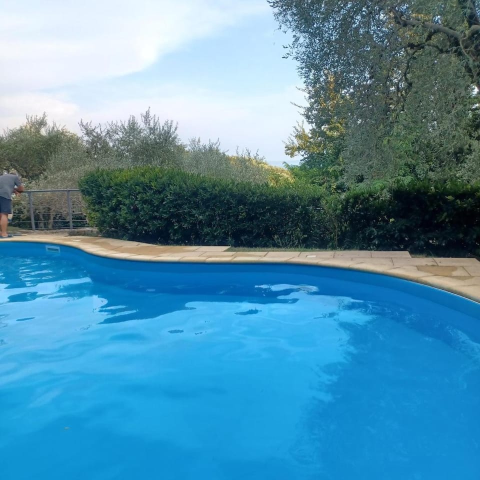 Day, Pool view