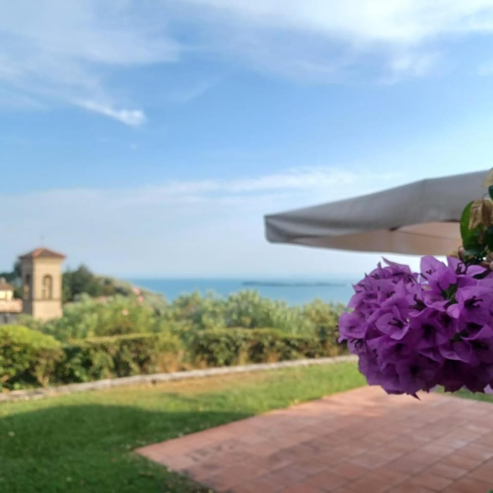 Nearby landmark, Spring, Day, Natural landscape, Garden, Garden view, Sea view