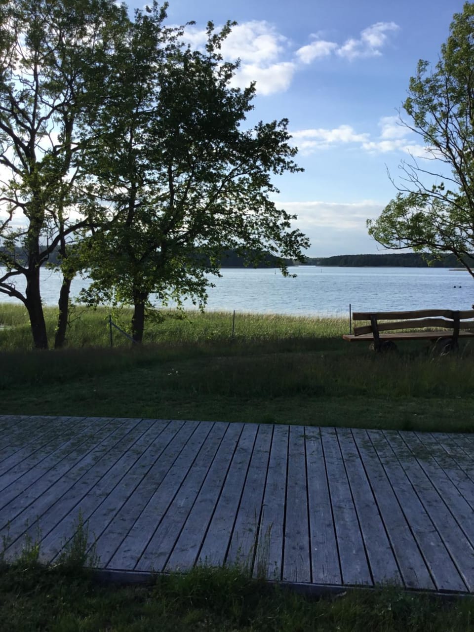 Lake view