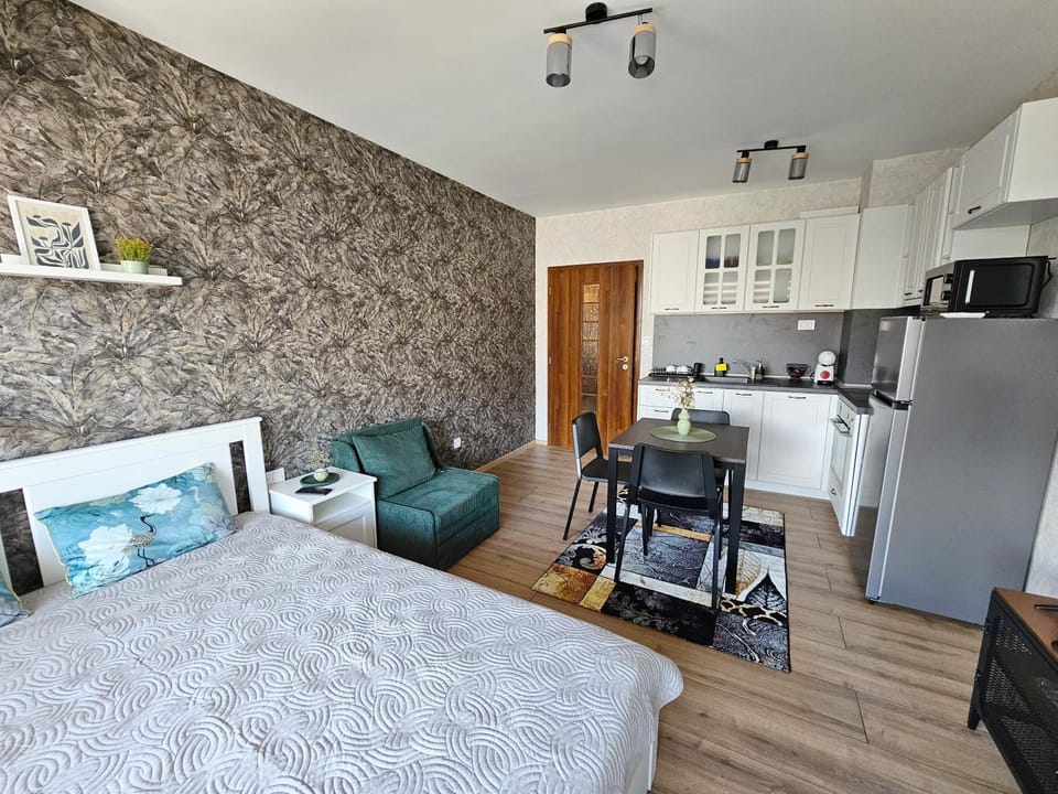 Bed, Kitchen or kitchenette, Living room, Photo of the whole room, Seating area, Dining area, Bedroom