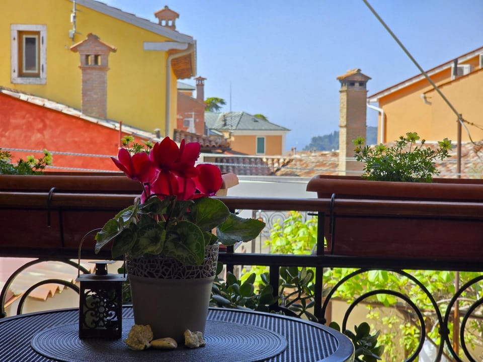 View (from property/room), Balcony/Terrace