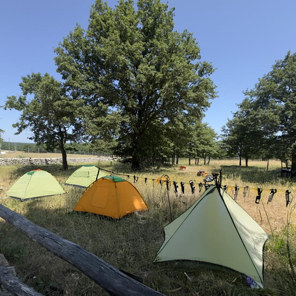 Spring, Day, Natural landscape