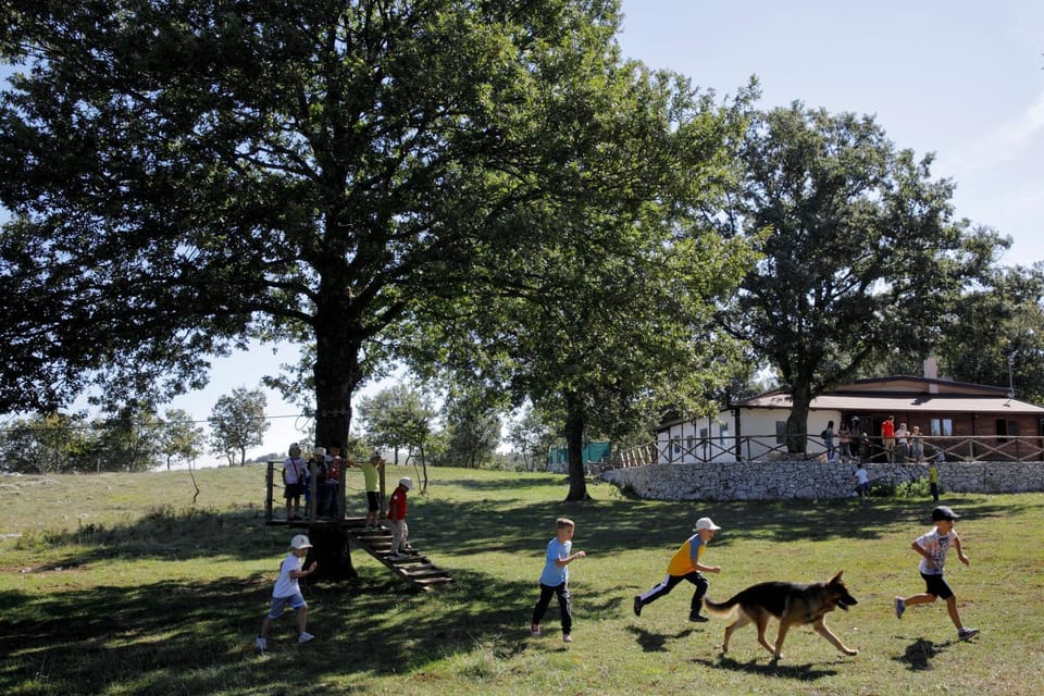 People, Natural landscape, Pets, children