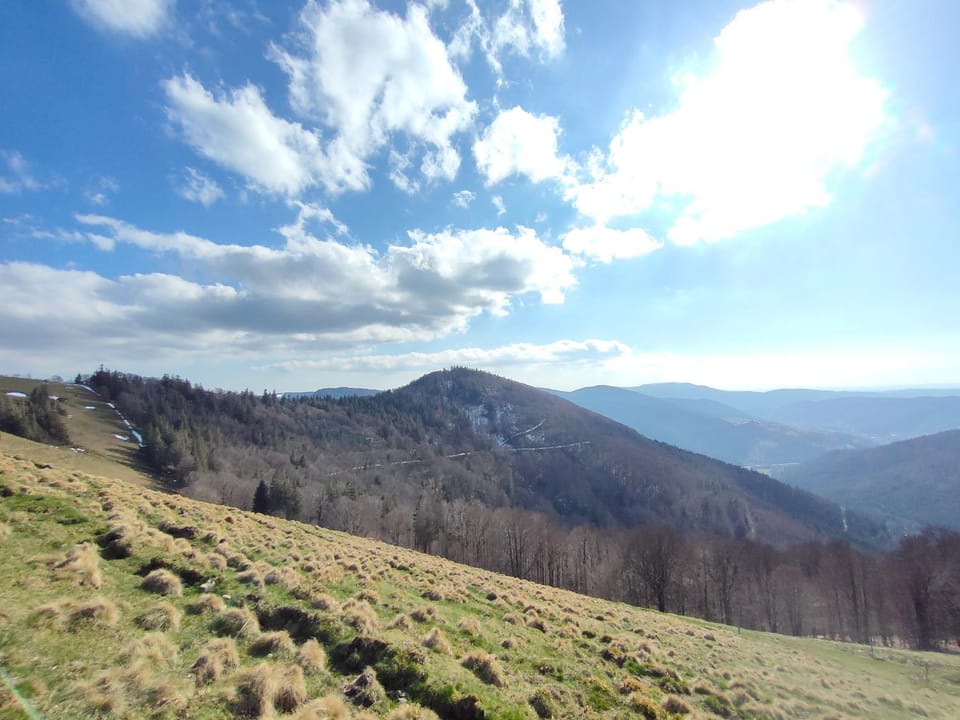 Mountain view