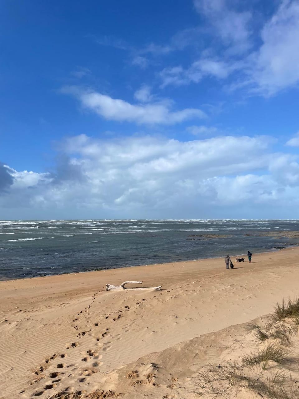 Natural landscape, Sea view