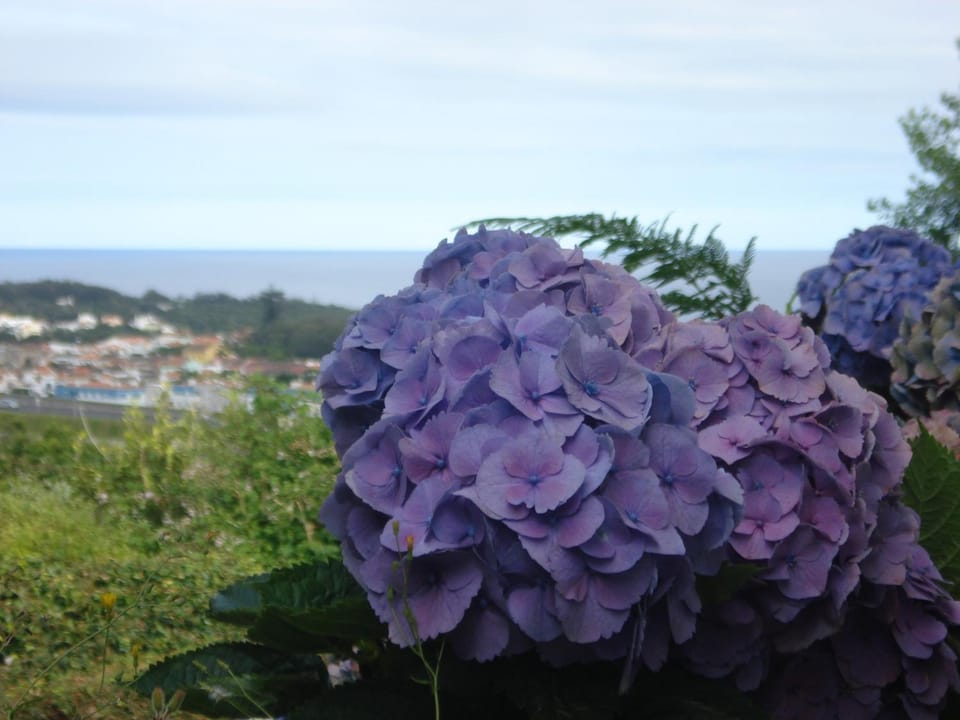 Nearby landmark, Off site, Natural landscape