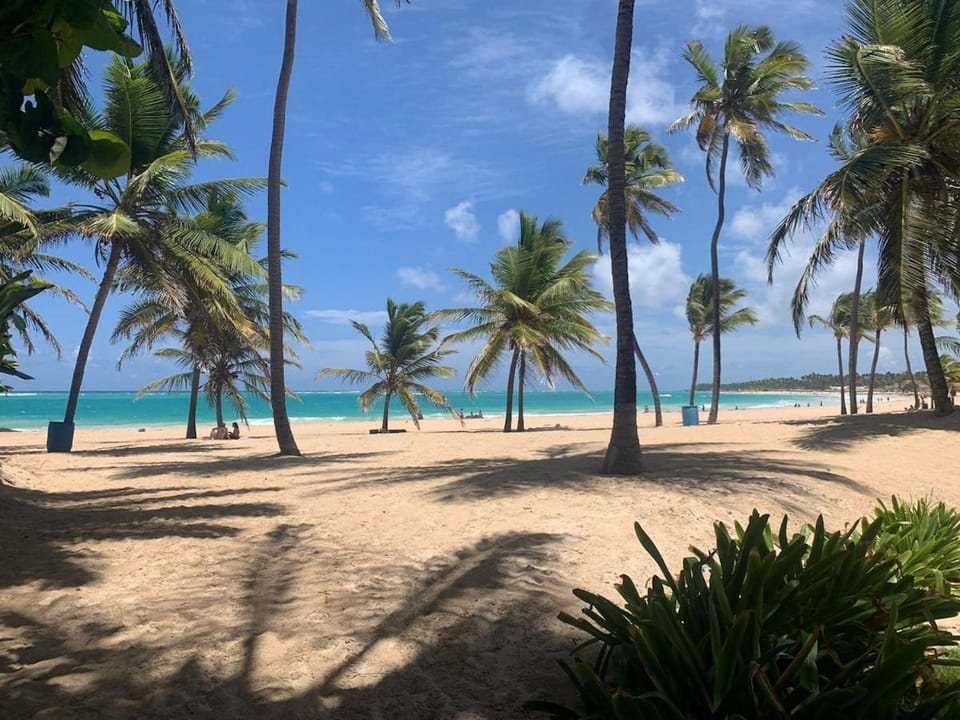 Nearby landmark, Beach