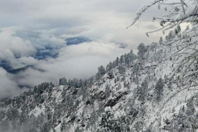 Three Oaks Hartola, Nainital Villa in Uttarakhand