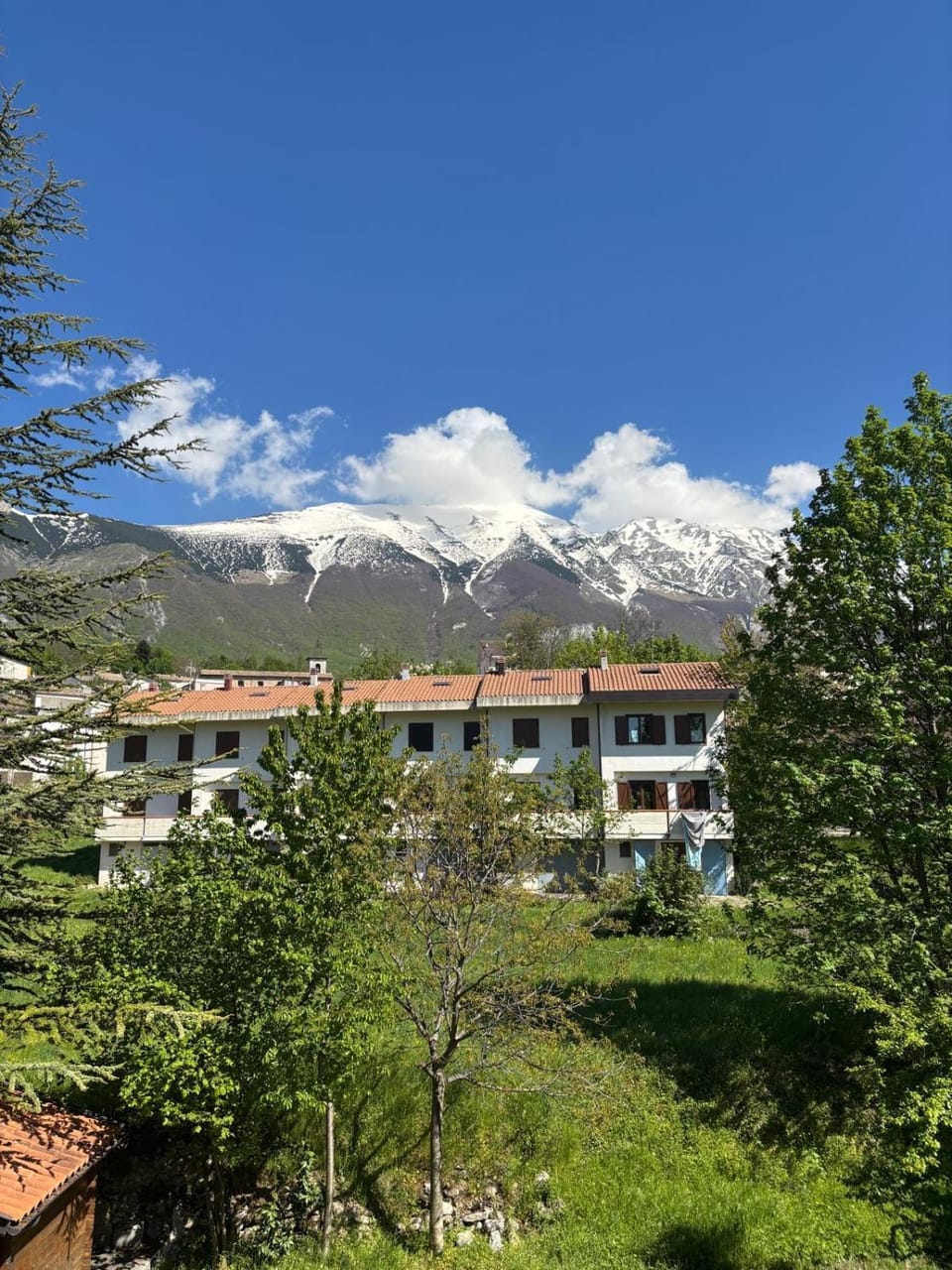 Mountain view