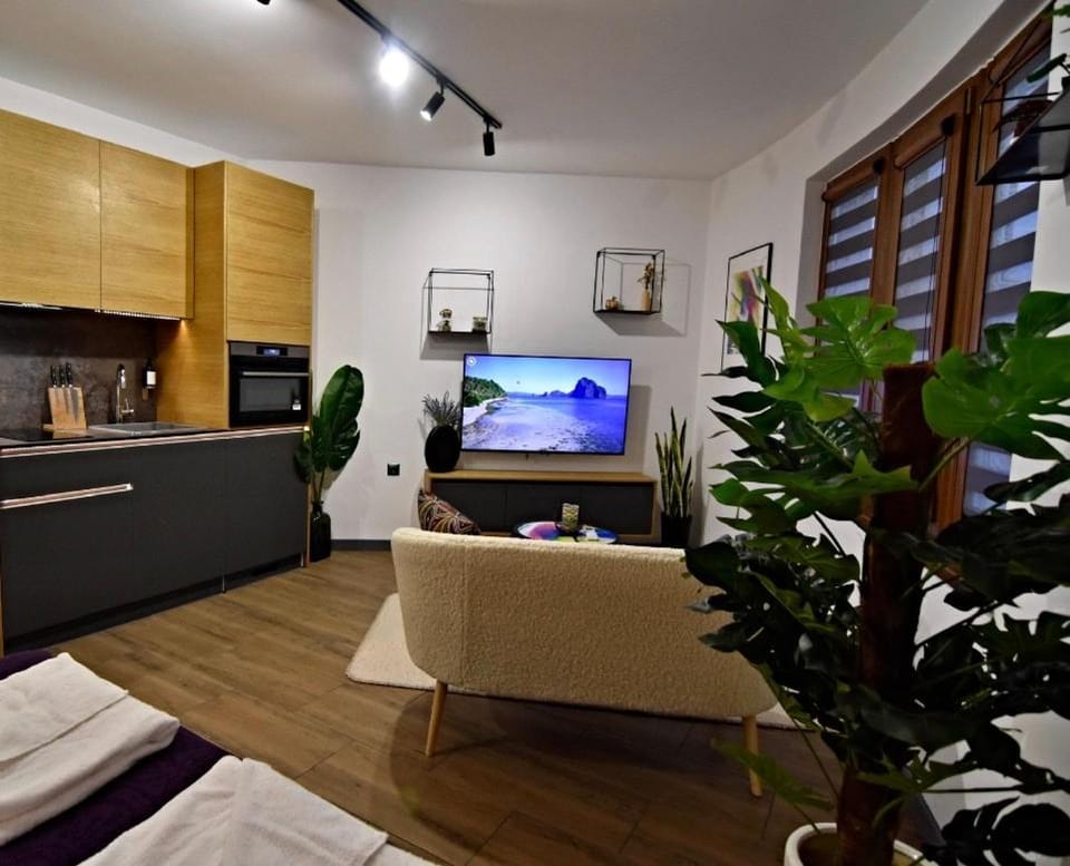Oblivion Apartment in Velingrad