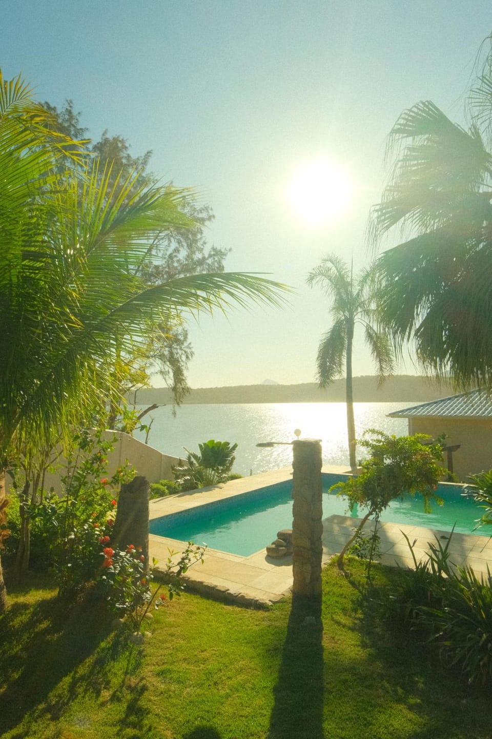 Day, Natural landscape, Garden, Garden view, Swimming pool