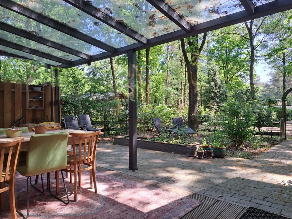 Patio, Garden