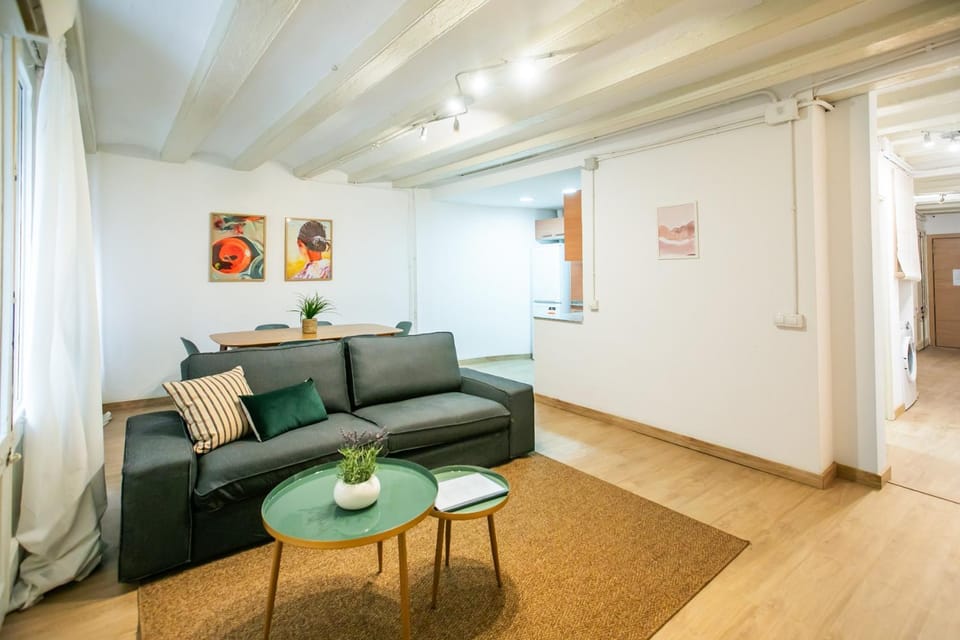 P2ESC1103- Apartment Barrio Gotico Apartment in Barcelona