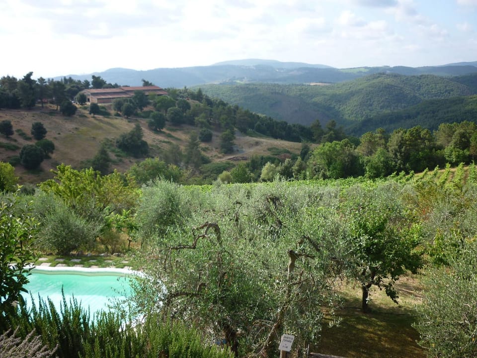 Property building, Garden, View (from property/room), On site, Swimming pool