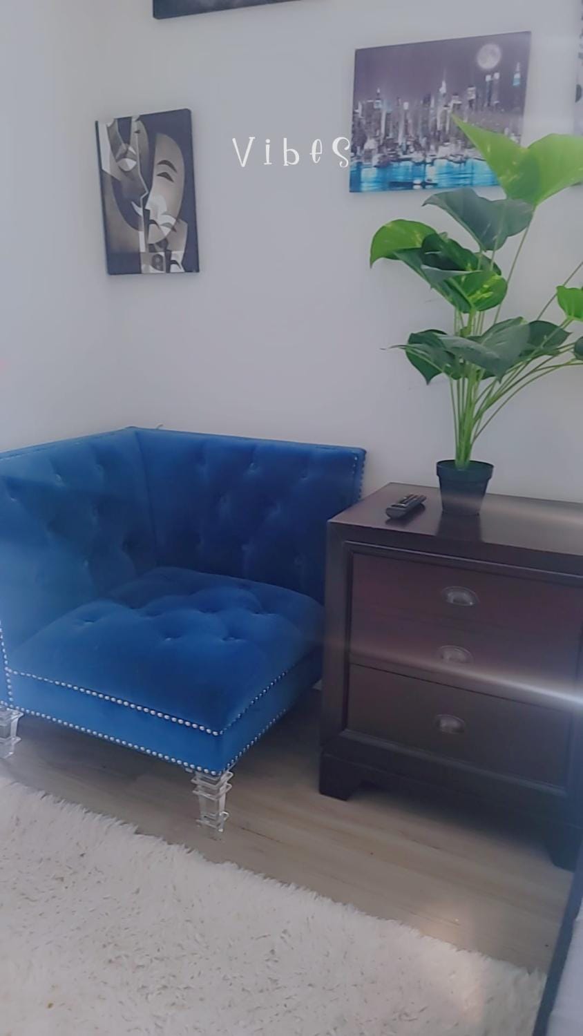 Modern Suite Near Hamilton Airport Apartment in Hamilton