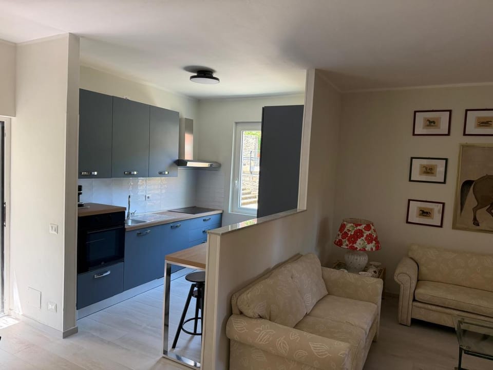 Kitchen or kitchenette, Living room, Dining area, pet friendly, kitchen
