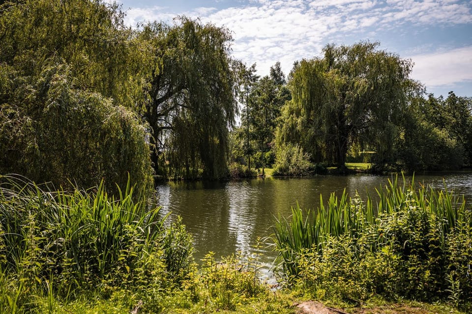 Lake view