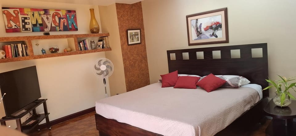 Bed and breakfast close to airport, beaches and attractions Vacation rental in San José Province