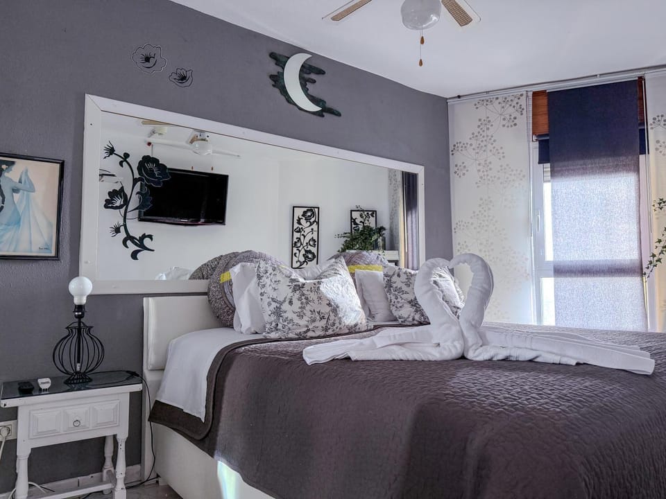 Bed, TV and multimedia, Photo of the whole room