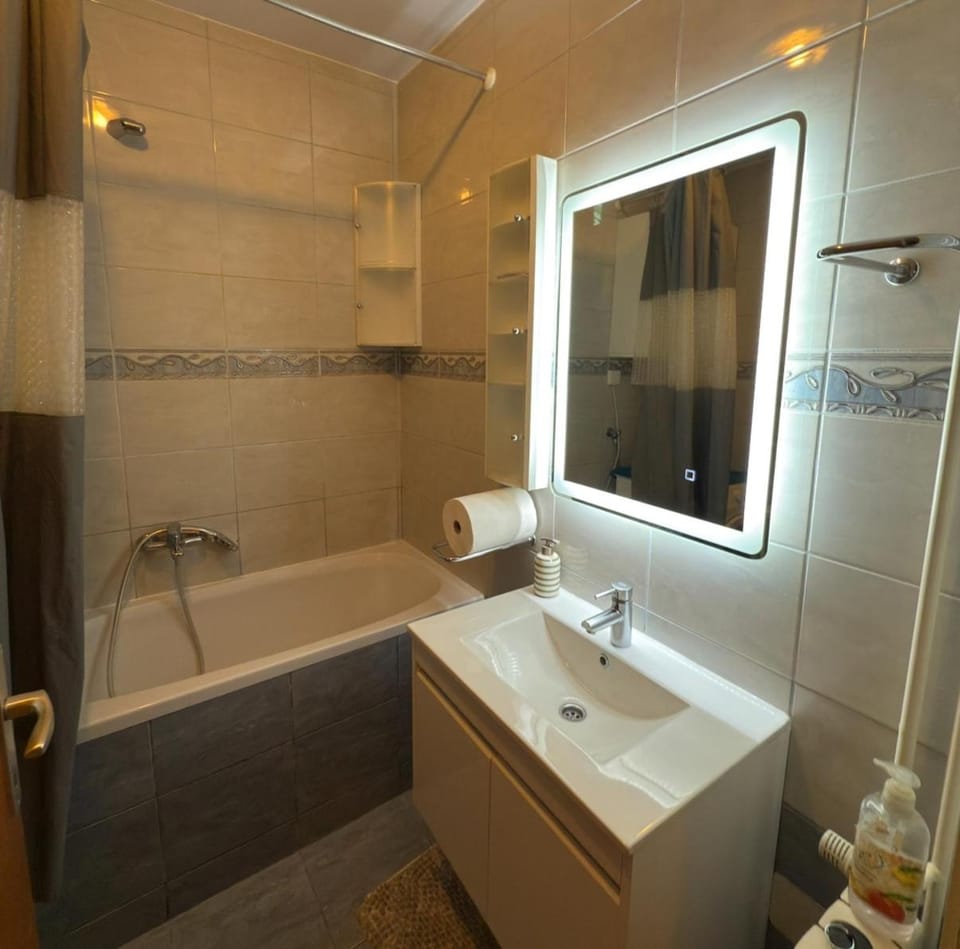 Center Apartment 1 Sisak Apartment in Slovenia
