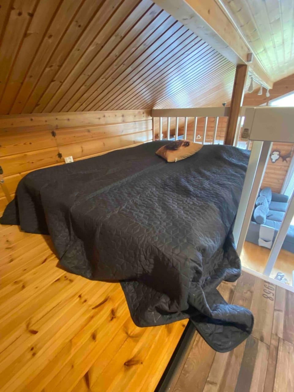 Villa Åberg, Kuivaniemi Chalet in Finland
