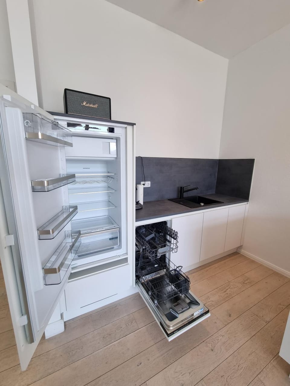 Kitchen or kitchenette, dishwasher