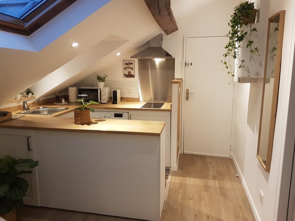 Kitchen or kitchenette, stove