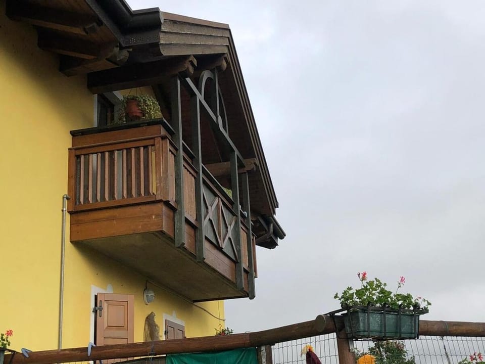Marika's House Apartment in Trentino-South Tyrol
