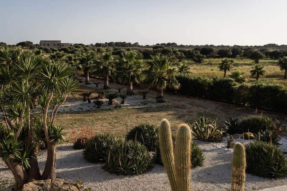 Natural landscape, Garden view