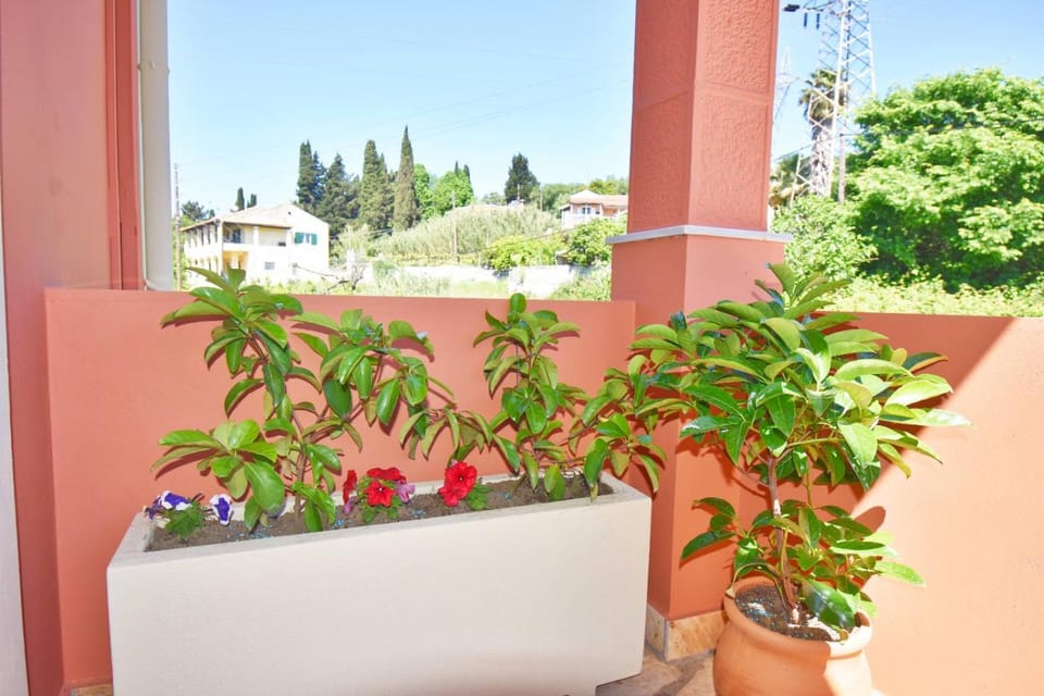 Kosmas Family House Apartment 2 Apartment in Corfu