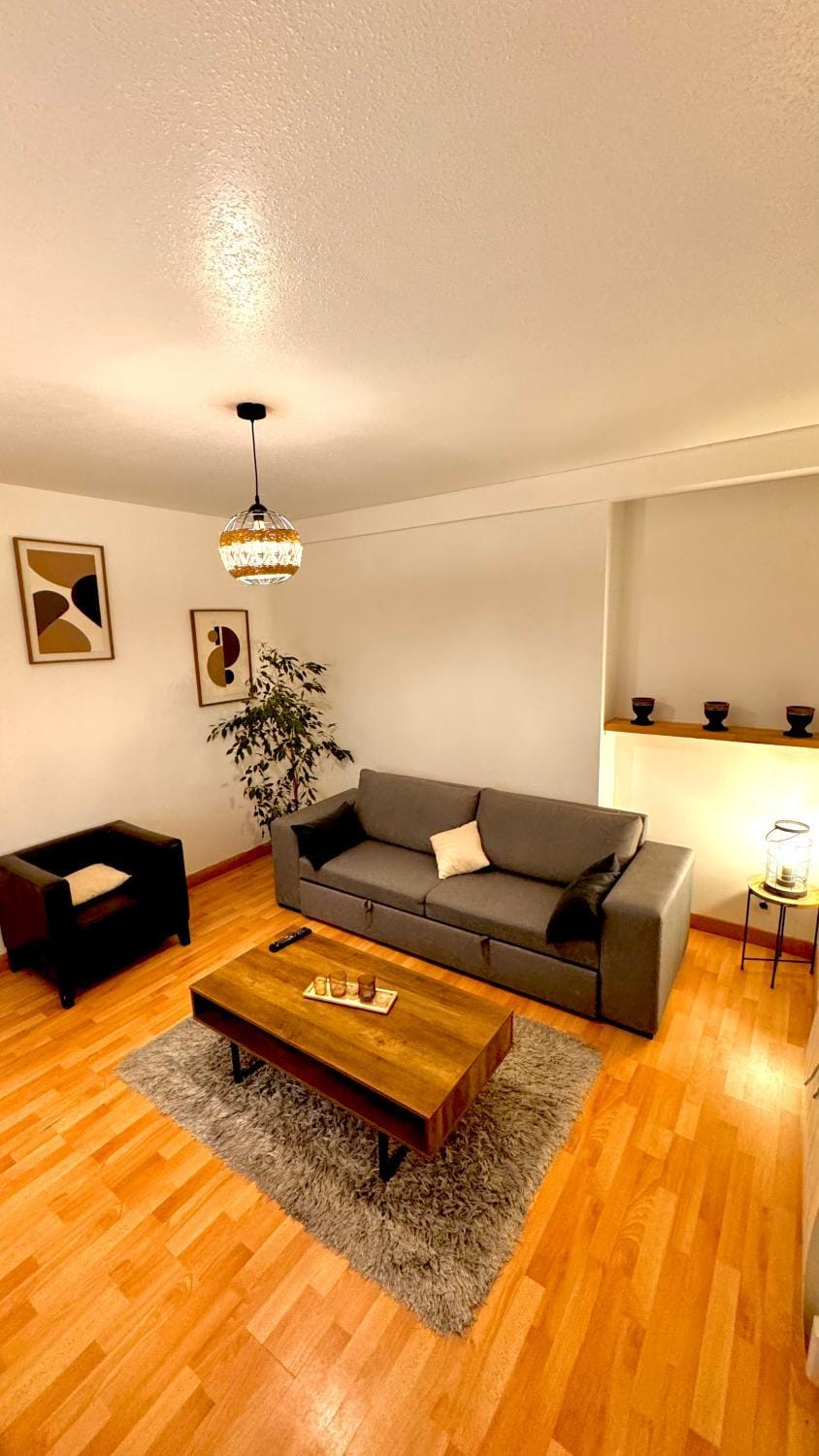 Très bel et spacieux appartement 66m carré Apartment in Angoulême