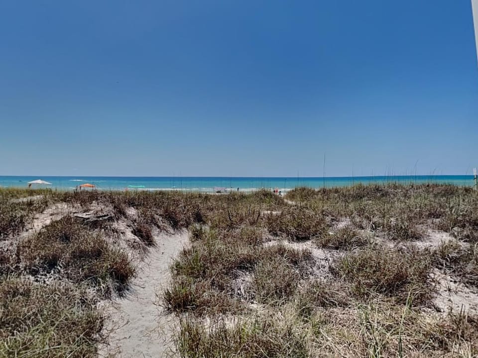 Seas The Day House in Panama City Beach