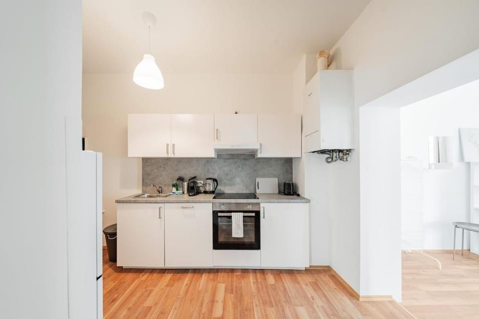 Central Two Room Apartment Apartment in Vienna