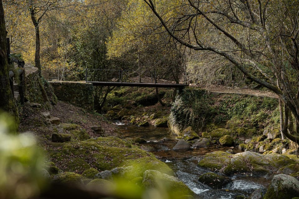 Natural landscape