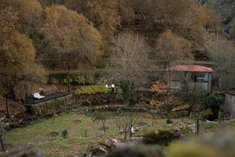 Natural landscape, Garden view