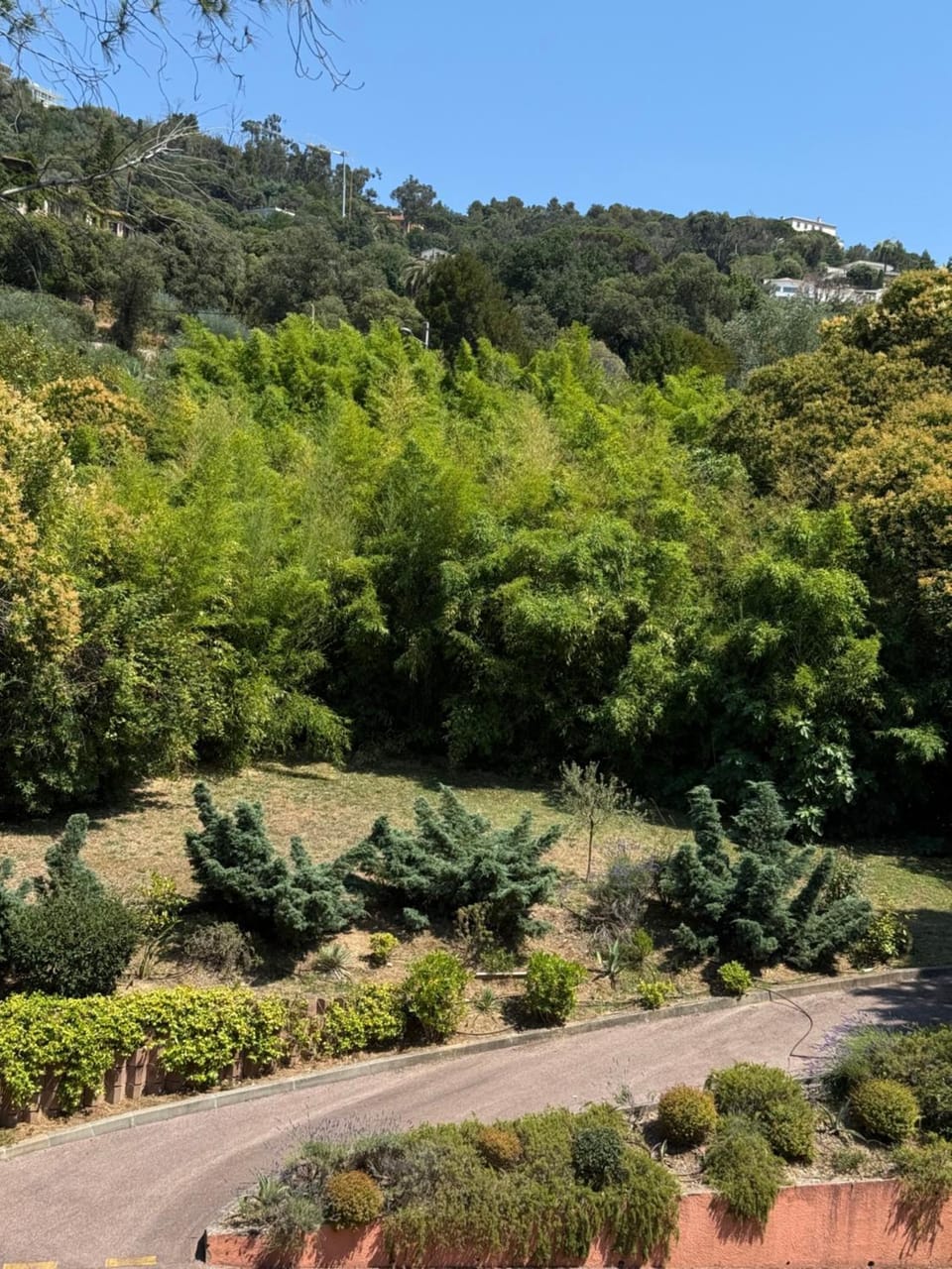 Garden, View (from property/room), Inner courtyard view