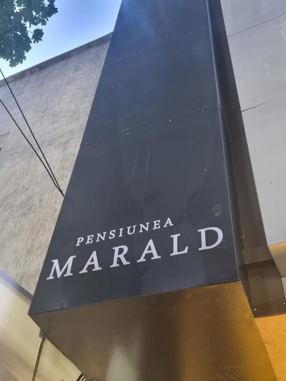 Logo/Certificate/Sign