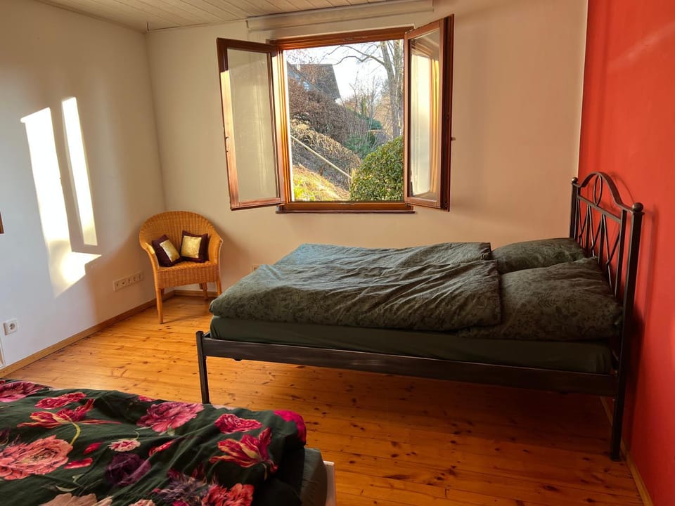 Romantic Gem at Black Forest - Cozy Historic Apartment - 30min to EuropaPark Apartment in Offenburg