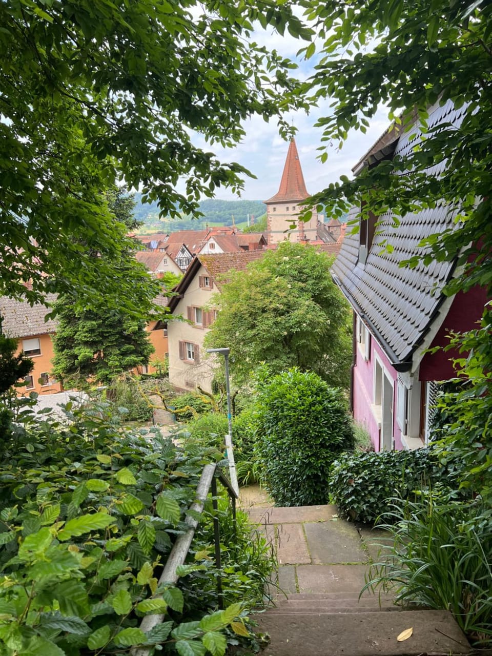 Romantic Gem at Black Forest - Cozy Historic Apartment - 30min to EuropaPark Apartment in Offenburg
