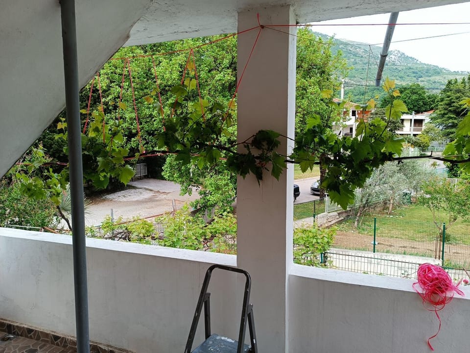 Apartment M2 Pine tree Sutomore Apartment in Montenegro