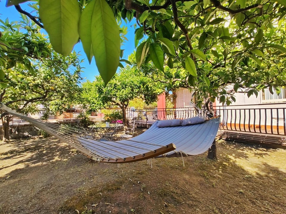 Spring, Day, Summer, Garden, Balcony/Terrace, Garden view