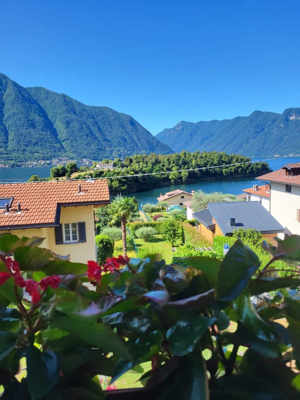 Nearby landmark, Neighbourhood