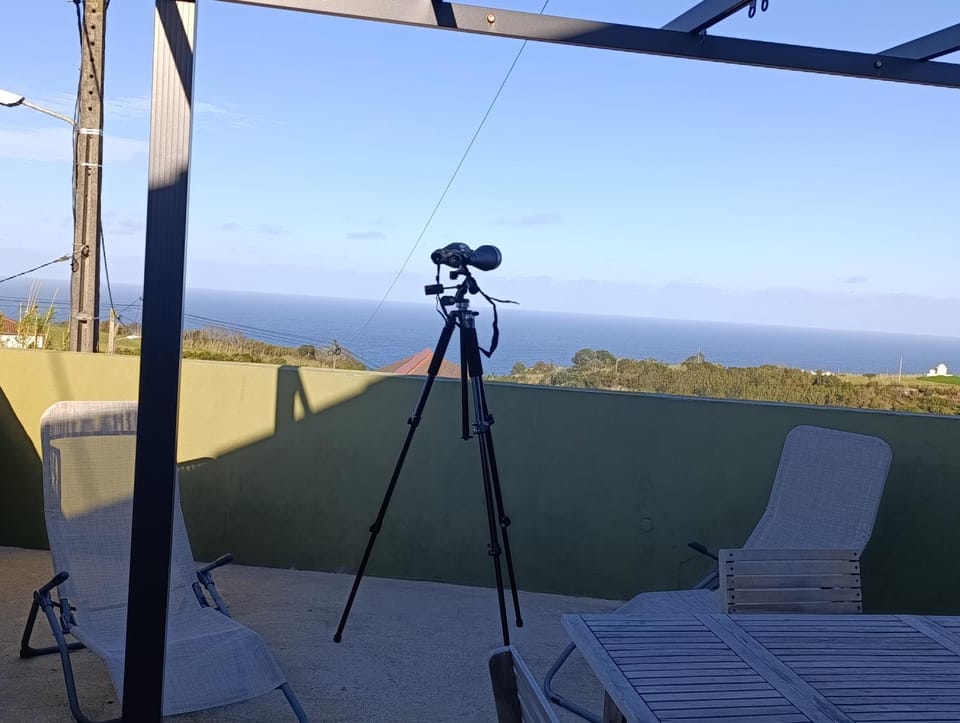 Alto do Sossego House in Azores District