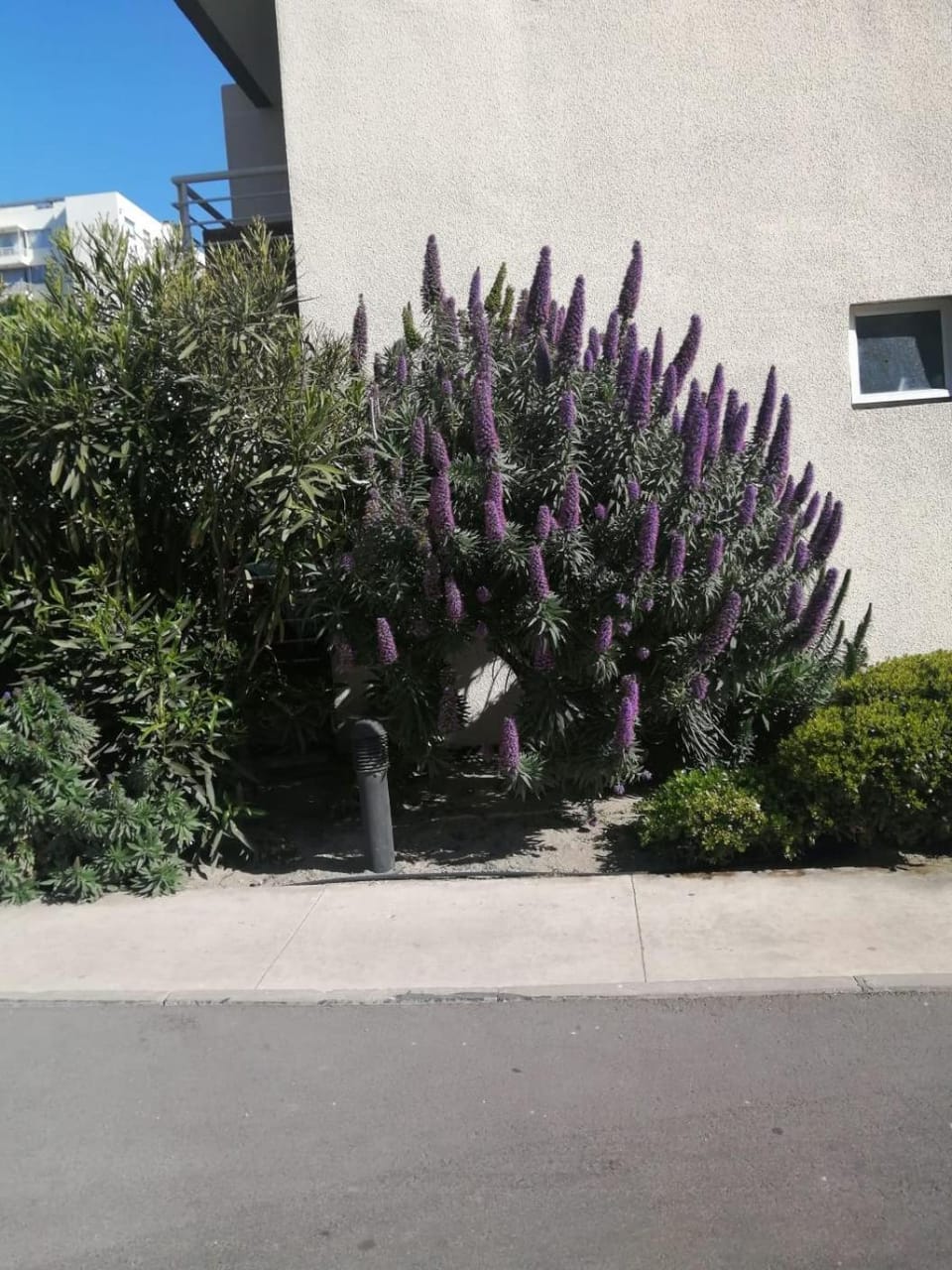 Dpto Alto La Serena IS Apartment in La Serena