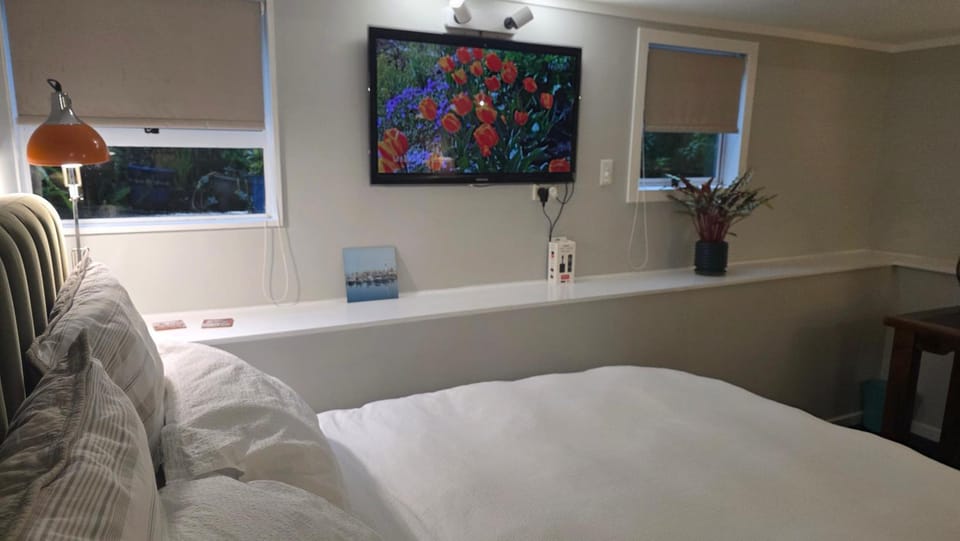 Paradise on the Shore Auckland with large Spa Pool Bed and Breakfast in Auckland