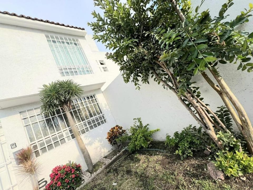Property building, Day, Garden, Garden view